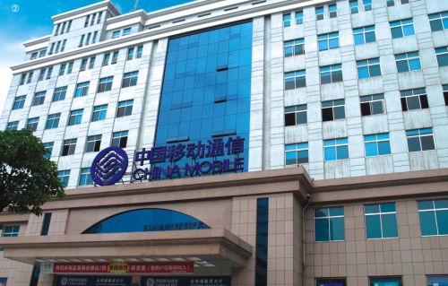 宜昌移動(dòng)大樓
