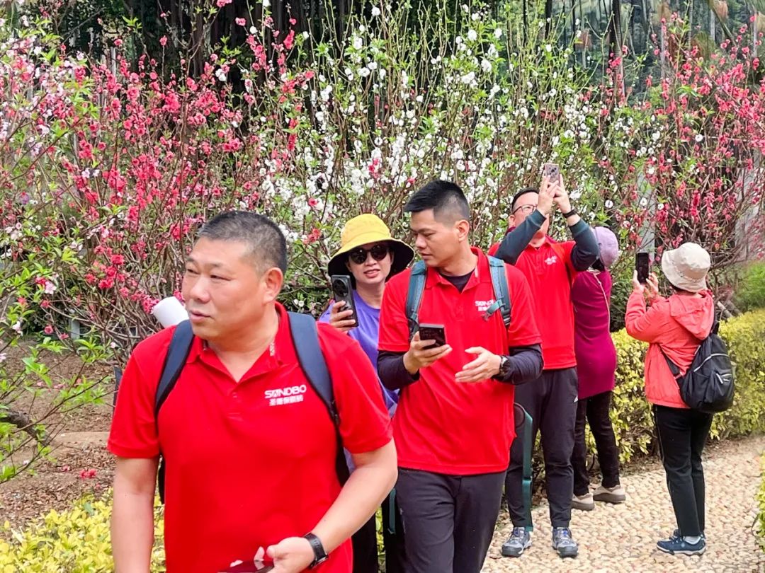 1750992792802930.jpg 640 (3).jpg